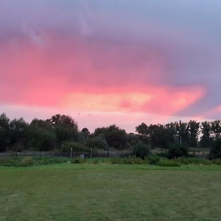 Agroturystyka Tam Gdzie Sosny Ścinawka Dolna Zewnętrze zdjęcie