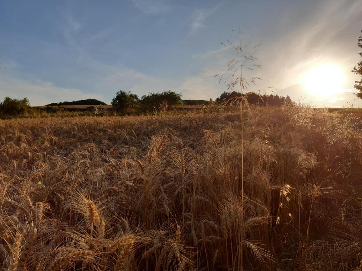 Agroturystyka Tam Gdzie Sosny Ścinawka Dolna Zewnętrze zdjęcie