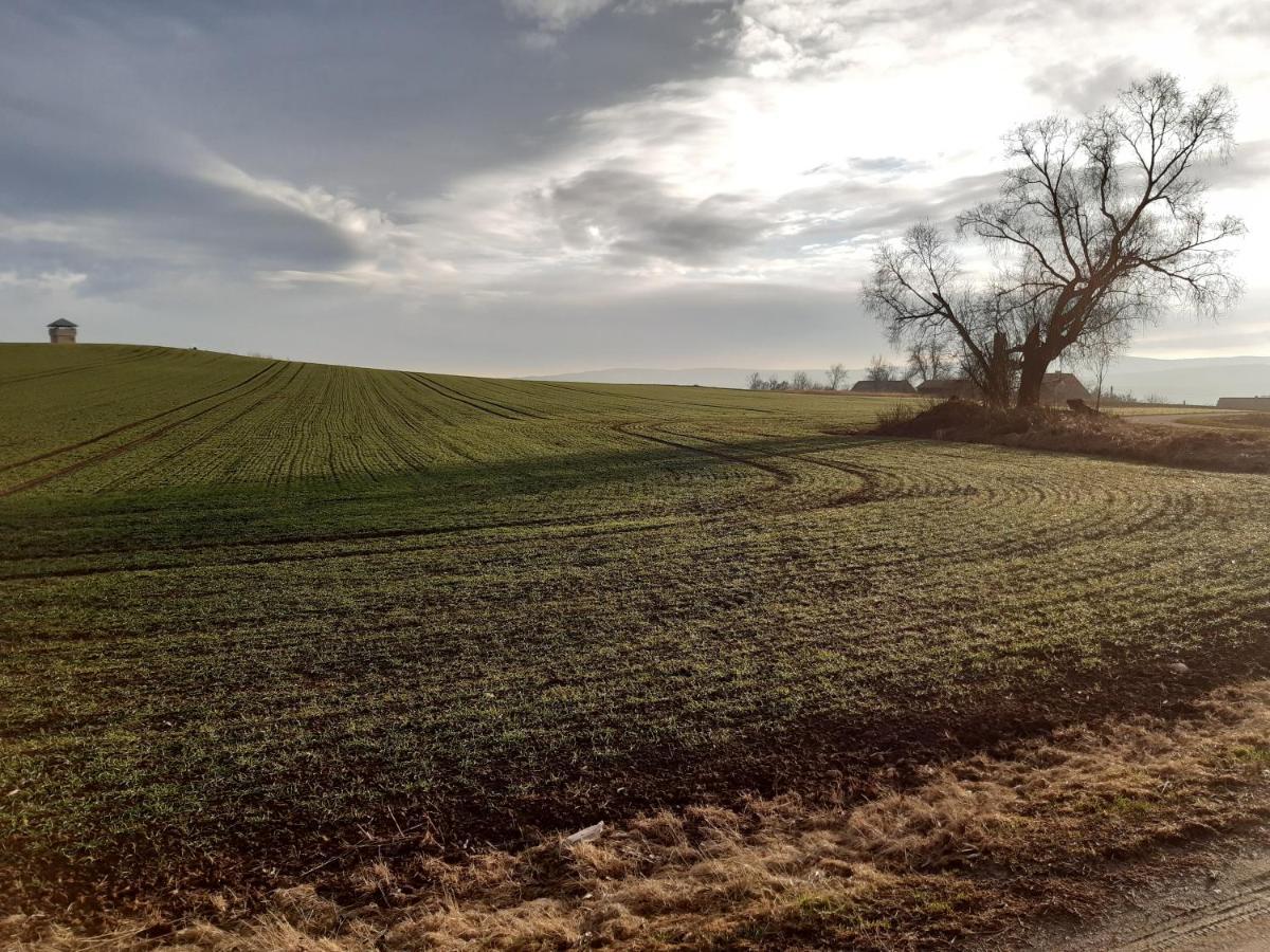 Agroturystyka Tam Gdzie Sosny Ścinawka Dolna Zewnętrze zdjęcie