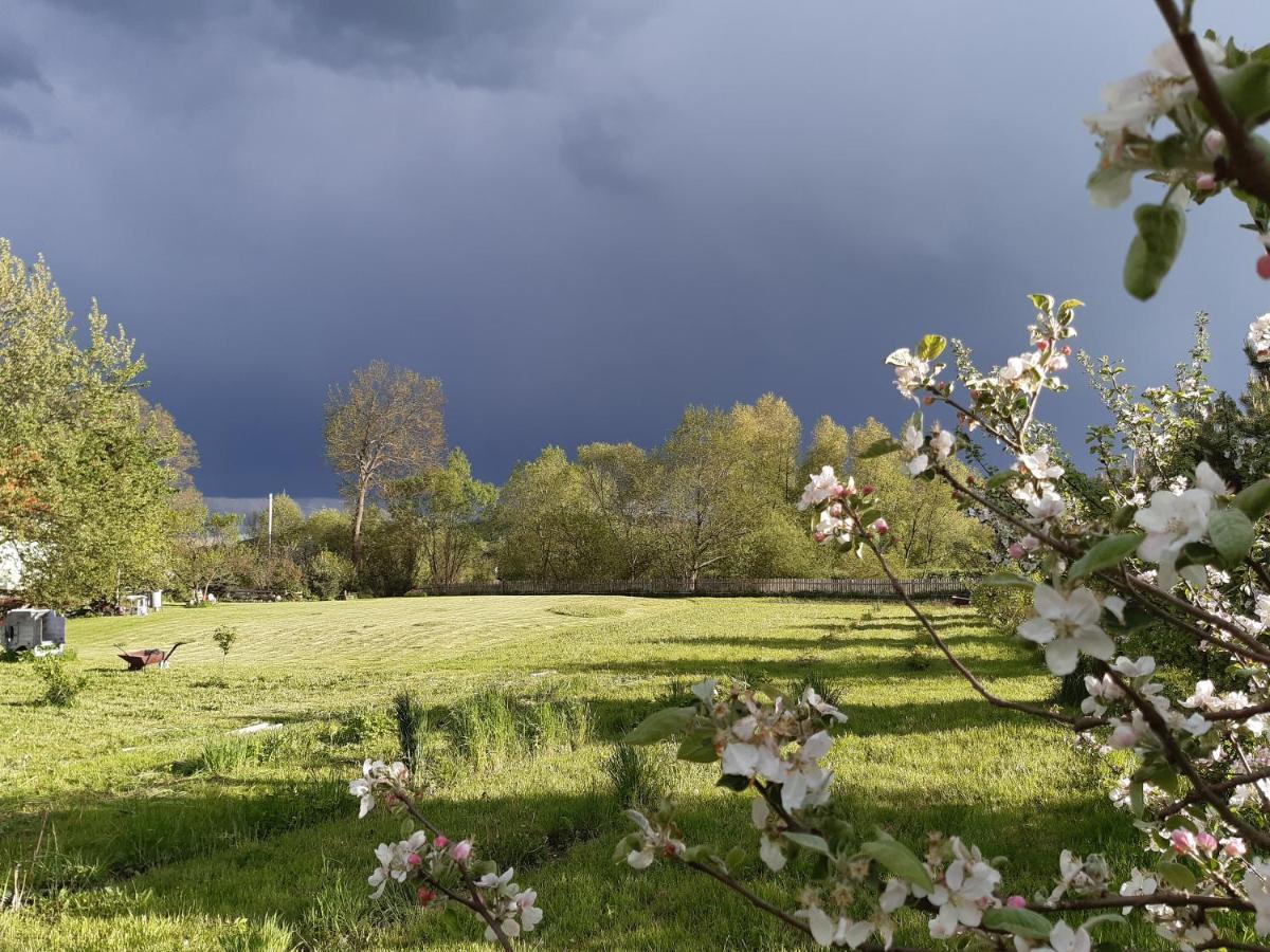 Agroturystyka Tam Gdzie Sosny Ścinawka Dolna Zewnętrze zdjęcie